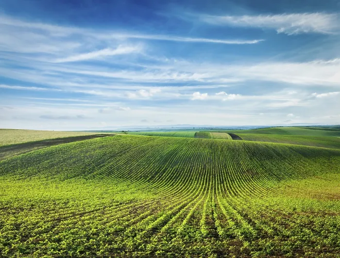 Framed Print : Rolling Fields of Moravia Print, Czech Republic Framed Print : Rolling Fields of Moravia Print, Czech Republic