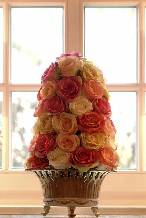 Framed Print : Rose Blossoms in Front of a Window Print Framed Print : Rose Blossoms in Front of a Window Print