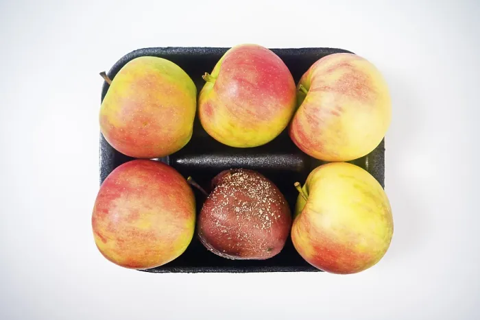 Framed Print : Rotten Apple in a Package Print Framed Print : Rotten Apple in a Package Print