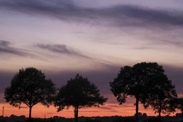 Framed Print : Evening Sky with Row of Trees Print, Kempen, Germany Framed Print : Evening Sky with Row of Trees Print, Kempen, Germany
