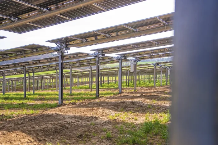 Framed Print : Rows of Solar Panels in a Field Print, Germany Framed Print : Rows of Solar Panels in a Field Print, Germany