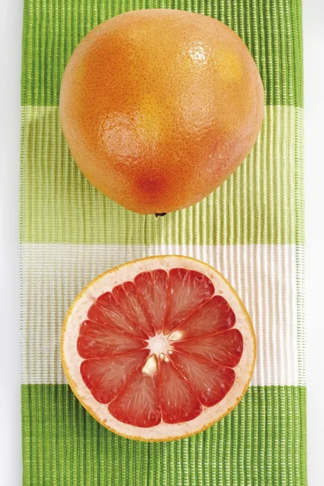 Framed Print : Ruby Red Grapefruits Print (Citrus x paradisi) Framed Print : Ruby Red Grapefruits Print (Citrus x paradisi)