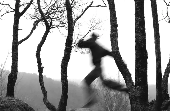 Framed Print : Running in the Woods Print Framed Print : Running in the Woods Print