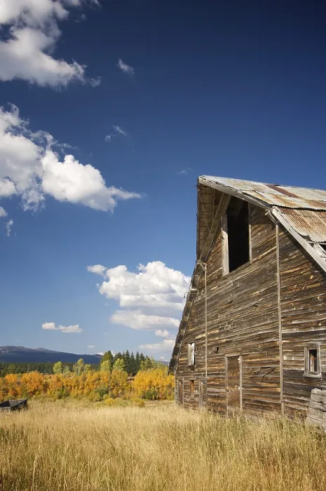 Framed Print : Rustic Barn Scene Print with Deep Blue Sky Framed Print : Rustic Barn Scene Print with Deep Blue Sky