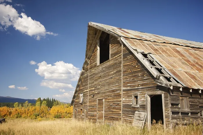 Framed Print : Rustic Barn Scene Print with Deep Blue Sky and Clouds Framed Print : Rustic Barn Scene Print with Deep Blue Sky and Clouds