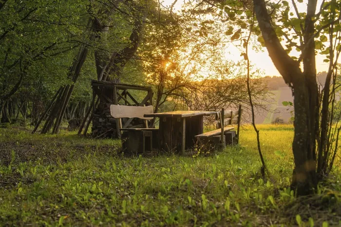Framed Print : Rustic Bench and Table Print in Golden Sunset, Calw, Germany Framed Print : Rustic Bench and Table Print in Golden Sunset, Calw, Germany