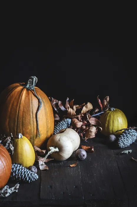 Framed Print : Rustic Pumpkin Display Print Framed Print : Rustic Pumpkin Display Print