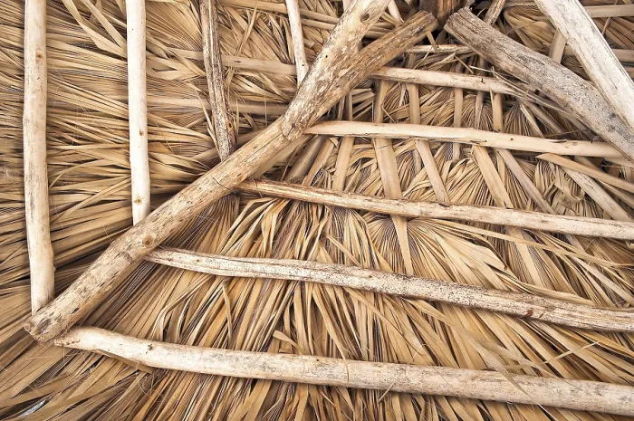 Framed Print : Rustic Roof Structure Print, Beach Hut Detail Framed Print : Rustic Roof Structure Print, Beach Hut Detail