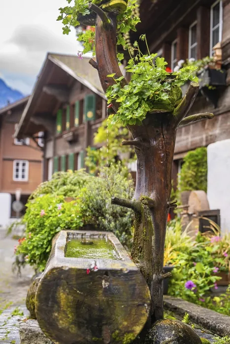 Framed Print : Rustic Scene Lake Brienz Print, Switzerland Framed Print : Rustic Scene Lake Brienz Print, Switzerland