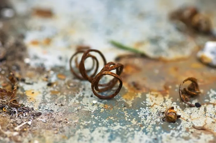Framed Print : Rusty Chips of Iron Print by imageBROKER Framed Print : Rusty Chips of Iron Print by imageBROKER