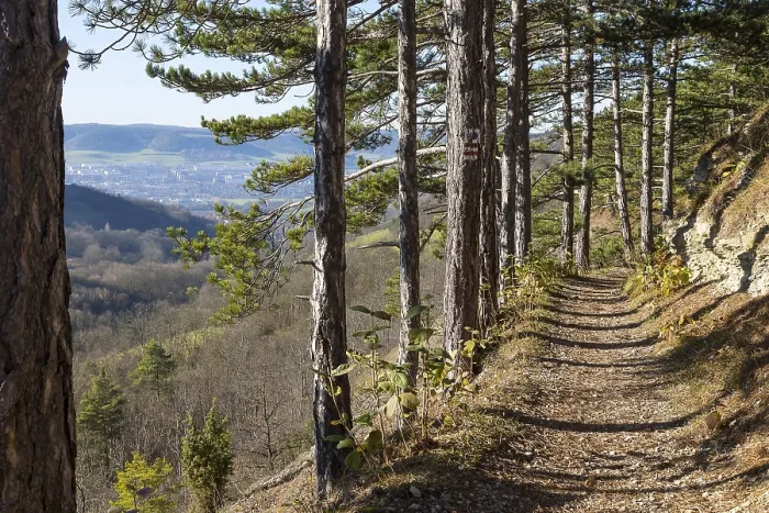 Framed Print : SaaleHorizontale Panorama Trail Print, Thuringia, Germany Framed Print : SaaleHorizontale Panorama Trail Print, Thuringia, Germany