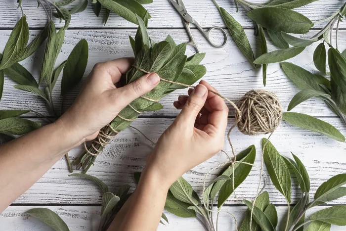 Framed Print : Sage Leaf Print on Wooden Table Framed Print : Sage Leaf Print on Wooden Table