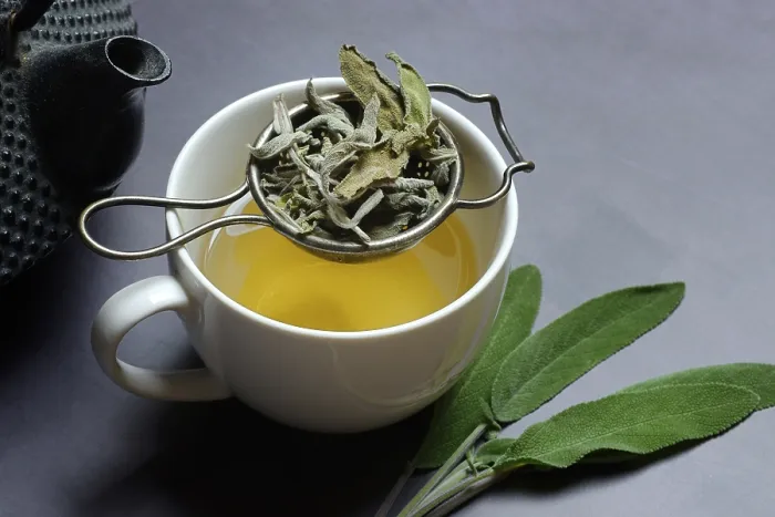 Framed Print : Sage Tea in Cup with Tea Strainer, Germany Print Framed Print : Sage Tea in Cup with Tea Strainer, Germany Print