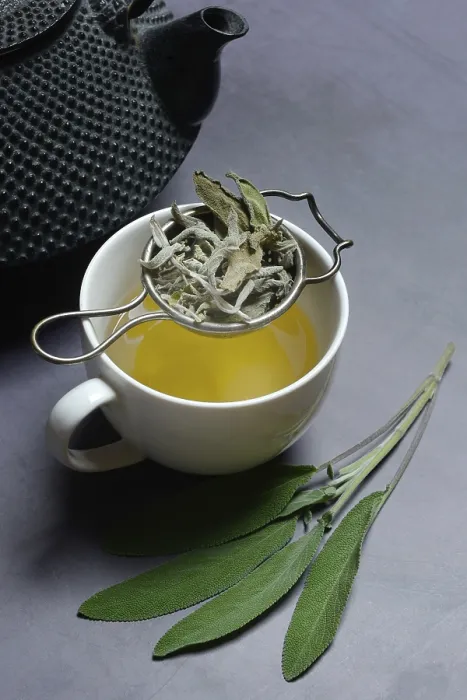 Framed Print : Sage Tea in Cup with Tea Strainer Print, Germany Framed Print : Sage Tea in Cup with Tea Strainer Print, Germany