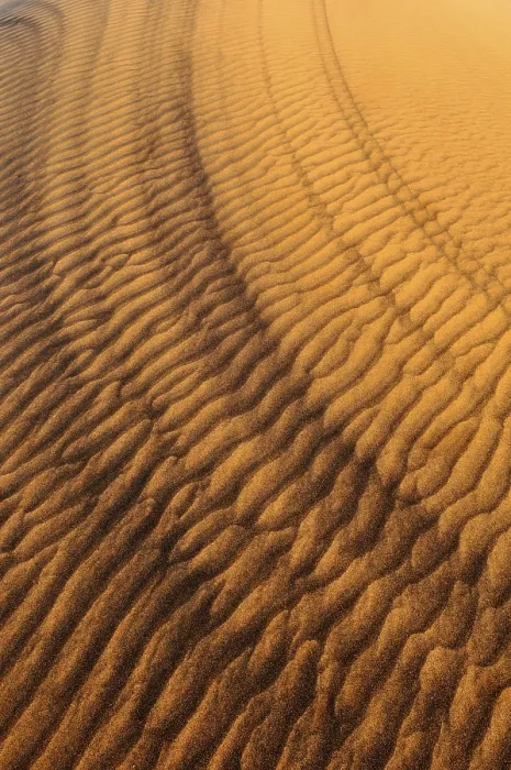 Framed Print : Sand Patterns Print, Dunes Noires, Algeria Framed Print : Sand Patterns Print, Dunes Noires, Algeria