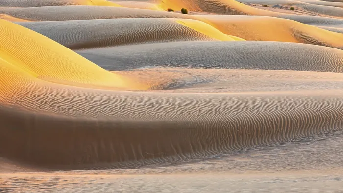 Framed Print : Wind-Formed Sand Structure Print, Oman Framed Print : Wind-Formed Sand Structure Print, Oman