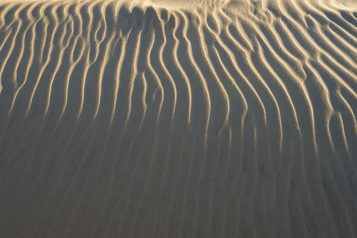 Framed Print : Denmark Beach Sand Structure Print Framed Print : Denmark Beach Sand Structure Print