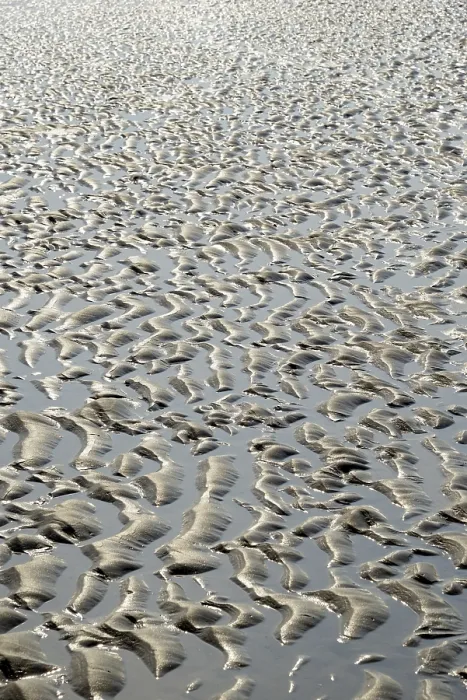 Framed Print : Wangerooge Sandy Beach Low Tide Print Framed Print : Wangerooge Sandy Beach Low Tide Print
