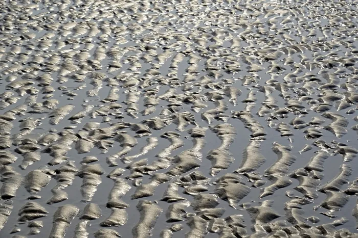 Framed Print : Wangerooge Sandy Beach Print at Low Tide Framed Print : Wangerooge Sandy Beach Print at Low Tide