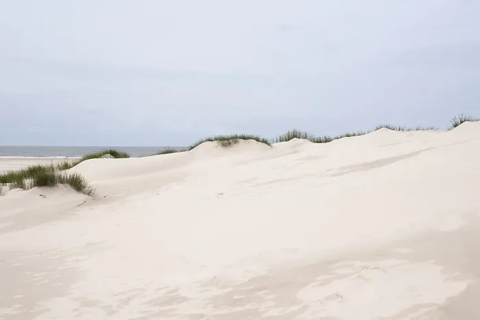Framed Print : Amrum Island Dune Landscape Print Framed Print : Amrum Island Dune Landscape Print