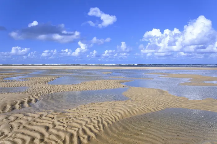Framed Print : Juist Sandy Beach Low Tide Print Framed Print : Juist Sandy Beach Low Tide Print
