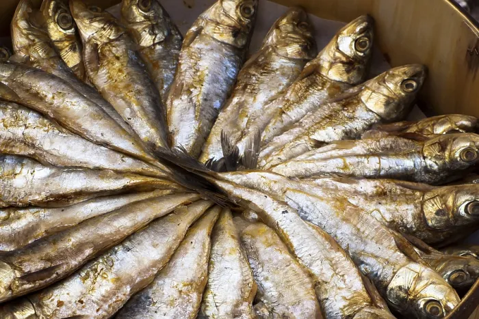Framed Print : Sardines Print from imageBROKER Framed Print : Sardines Print from imageBROKER