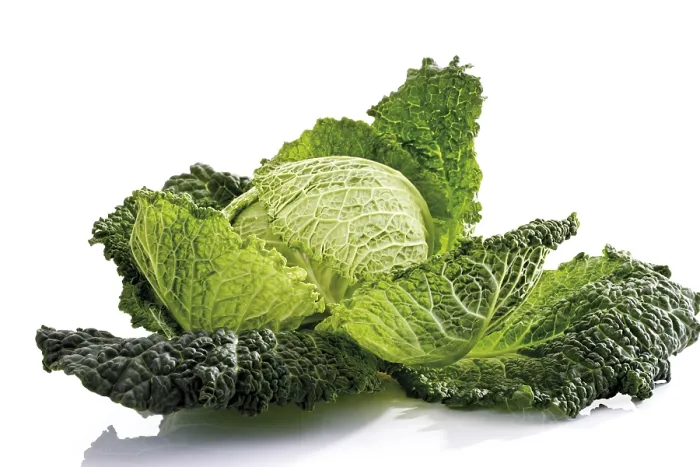 Framed Print : Savoy Cabbage Print Framed Print : Savoy Cabbage Print