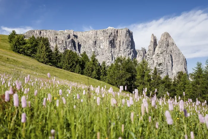 Framed Print : Schlern with Santner and Euringer crags Print, Dolomites, Italy Framed Print : Schlern with Santner and Euringer crags Print, Dolomites, Italy