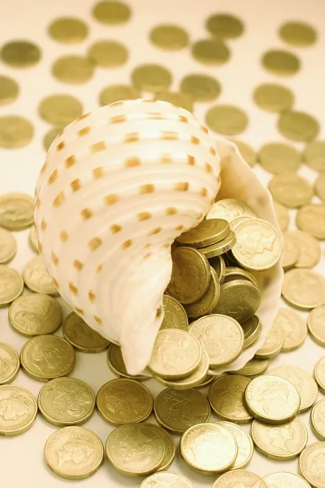 Framed Print : Seashell Overflowing with Coins Print Framed Print : Seashell Overflowing with Coins Print
