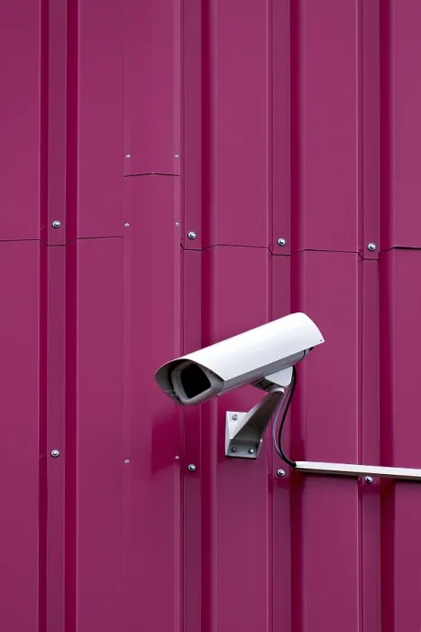 Framed Print : Security Print from imageBROKER Framed Print : Security Print from imageBROKER
