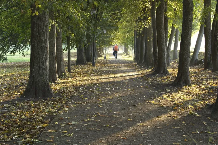 Framed Print : Autumn Pathway Print Framed Print : Autumn Pathway Print