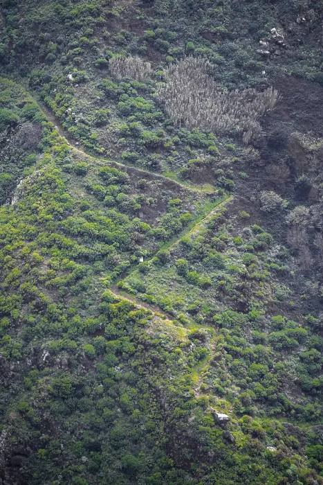 Framed Print : Serpentines of a path on a steep slope, Madeira Print Framed Print : Serpentines of a path on a steep slope, Madeira Print