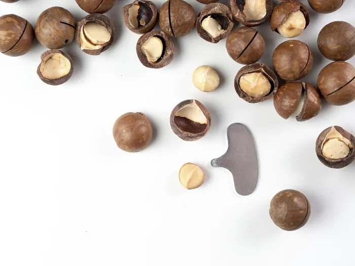 Framed Print : Macadamia Nuts Print with Cracker Sheller Framed Print : Macadamia Nuts Print with Cracker Sheller