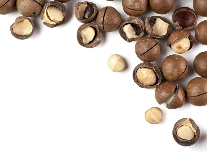 Framed Print : Macadamia Nuts Print - Top View Framed Print : Macadamia Nuts Print - Top View