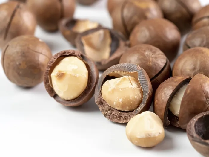 Framed Print : Macadamia Nuts Print on White Background Framed Print : Macadamia Nuts Print on White Background