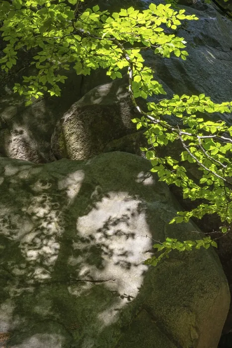 Framed Print : Shadows on Rocks, Ore Mountains Print Framed Print : Shadows on Rocks, Ore Mountains Print
