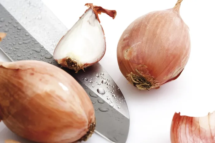 Framed Print : Shallots and a Knife Print Framed Print : Shallots and a Knife Print