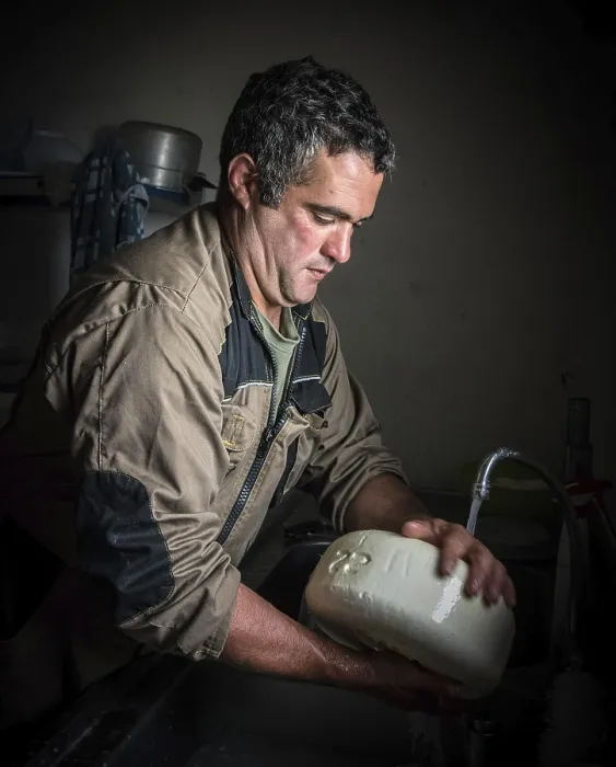 Framed Print : Shepherd Laurent Loustau Making Sheep's Cheese Print Framed Print : Shepherd Laurent Loustau Making Sheep's Cheese Print