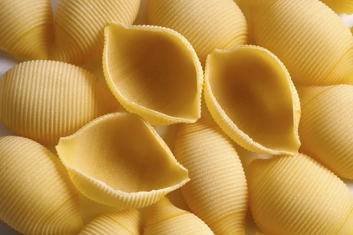 Framed Print : Shell Noodles Print - Egg-Based Pasta Framed Print : Shell Noodles Print - Egg-Based Pasta
