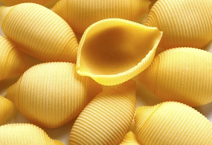 Framed Print : Shell Noodles Print - Egg-Based Pasta Framed Print : Shell Noodles Print - Egg-Based Pasta