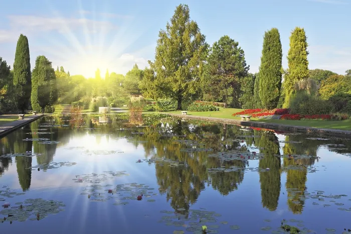 Framed Print : Sunbeams Reflecting in Smooth Pond Water Print Framed Print : Sunbeams Reflecting in Smooth Pond Water Print