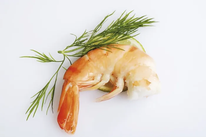 Framed Print : Shrimp with Dill Print Framed Print : Shrimp with Dill Print