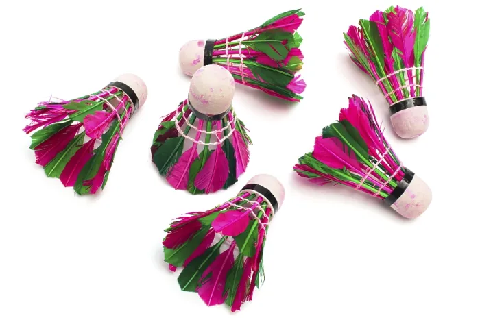 Framed Print : Shuttlecock Print with Feathers on White Background Framed Print : Shuttlecock Print with Feathers on White Background
