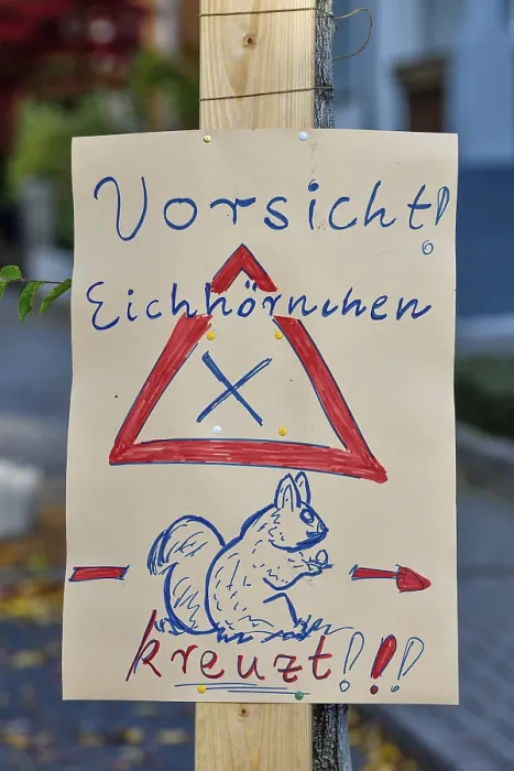 Framed Print : Sign Caution Squirrel Crosses Print, Achern, Germany Framed Print : Sign Caution Squirrel Crosses Print, Achern, Germany