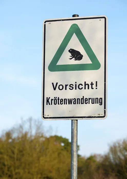 Framed Print : Sign Caution! Toad migration Print, Luneburg Heath, Germany Framed Print : Sign Caution! Toad migration Print, Luneburg Heath, Germany