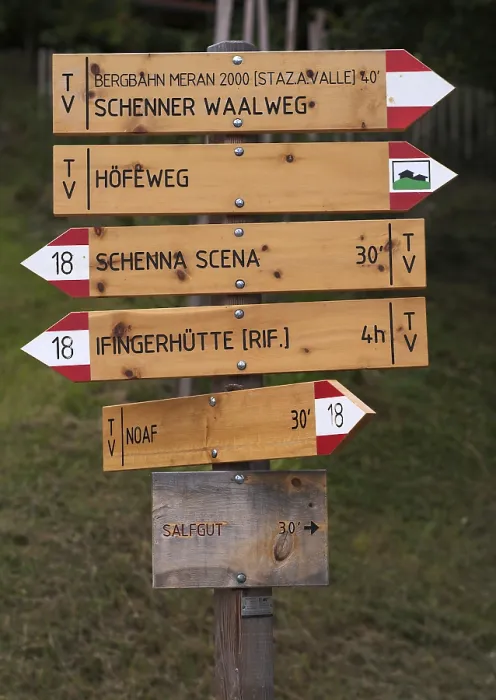 Framed Print : Signposts in the Schenna Signpost Forest Print Framed Print : Signposts in the Schenna Signpost Forest Print