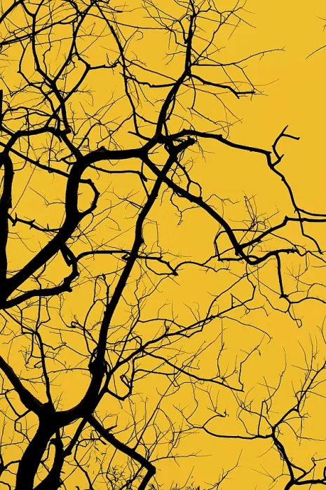 Framed Print : Tree Silhouette Print Framed Print : Tree Silhouette Print