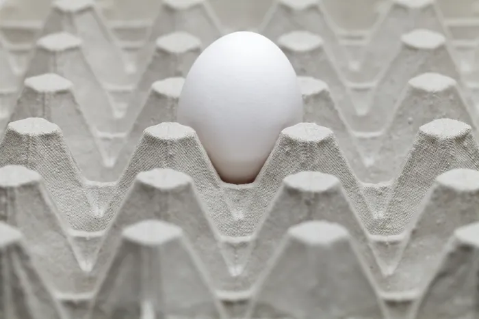 Framed Print : Single Egg in an Egg Carton Print Framed Print : Single Egg in an Egg Carton Print