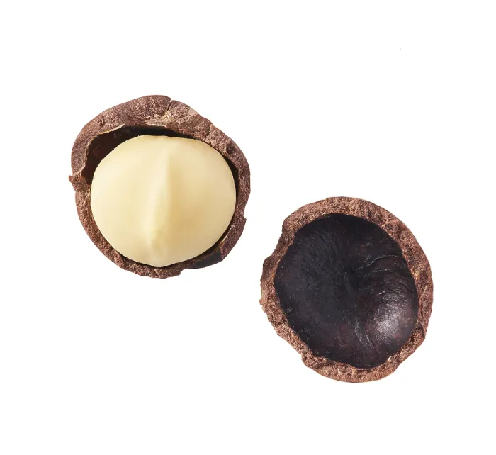 Framed Print : Macadamia Nut Print