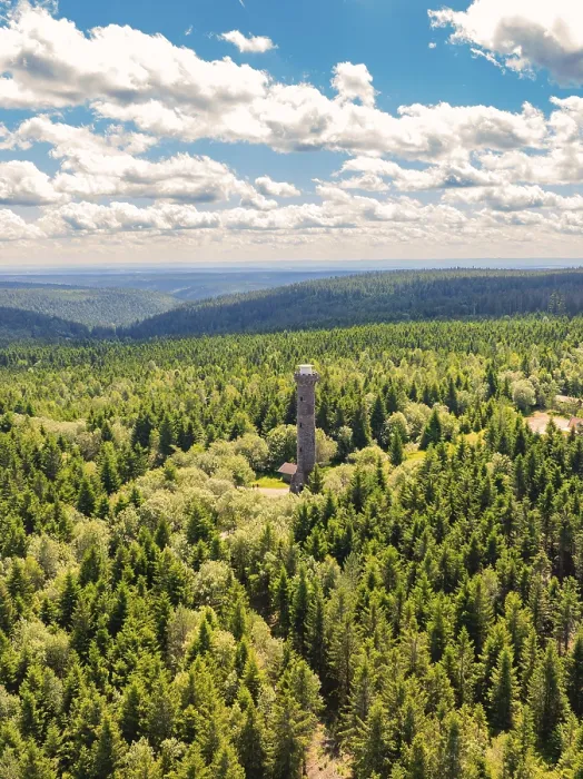 Framed Print : Black Forest Observation Tower Print, Kaltenbronn, Germany Framed Print : Black Forest Observation Tower Print, Kaltenbronn, Germany